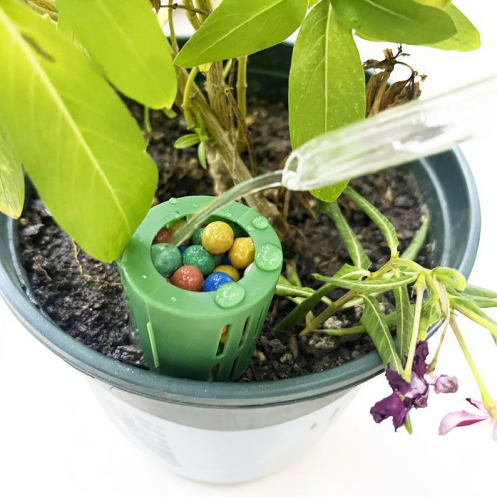 Caixa de fertilizante para pla - Gardening Tools Essential avaliação e preço