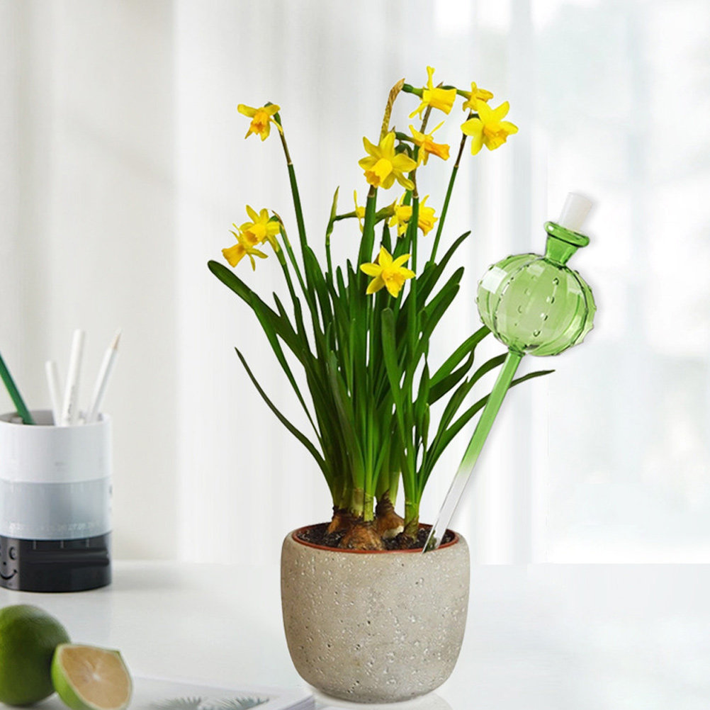 Regador Automático com Espigão - Automatic Plant Waterer avaliação e preço